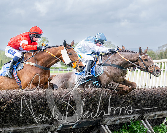 Race 3 - Jockey club ROR Veteran Horse Condidtions  (85 of 118)