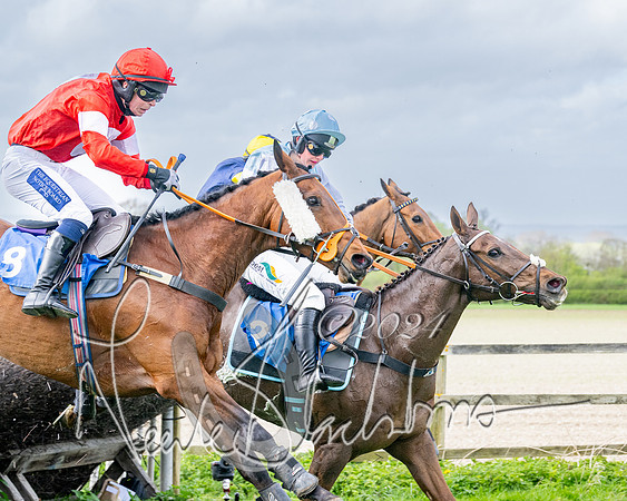 Race 3 - Jockey club ROR Veteran Horse Condidtions  (91 of 118)