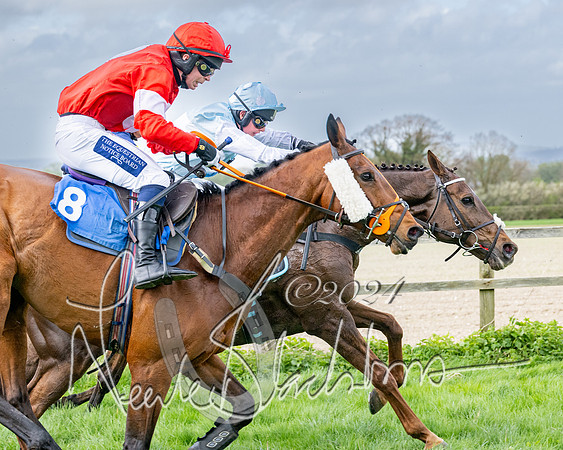 Race 3 - Jockey club ROR Veteran Horse Condidtions  (92 of 118)