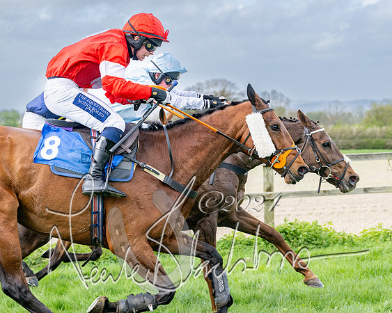 Race 3 - Jockey club ROR Veteran Horse Condidtions  (93 of 118)
