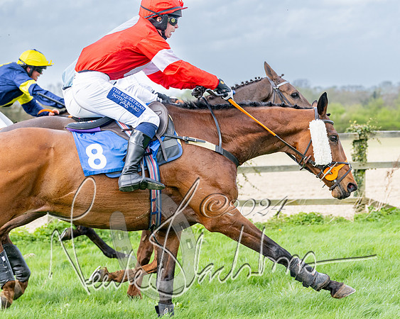 Race 3 - Jockey club ROR Veteran Horse Condidtions  (94 of 118)