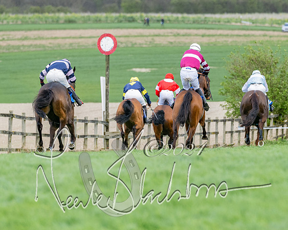 Race 3 - Jockey club ROR Veteran Horse Condidtions  (98 of 118)
