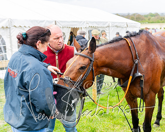 Race 3 - Jockey club ROR Veteran Horse Condidtions  (111 of 118)