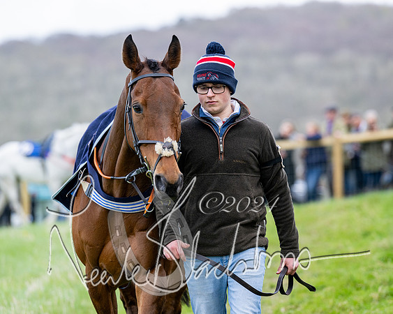 Race 4 - Savills Mixed Open  (6 of 169)