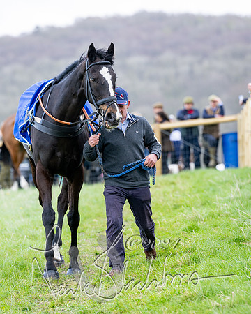 Race 4 - Savills Mixed Open  (19 of 169)