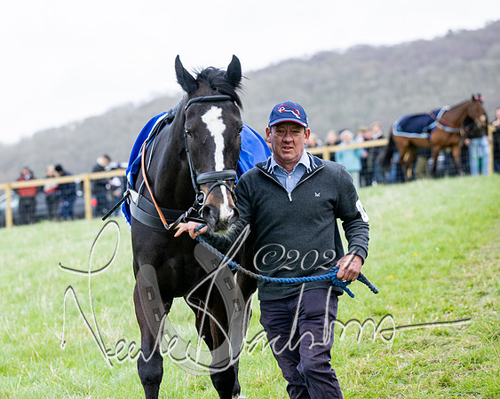 Race 4 - Savills Mixed Open  (21 of 169)