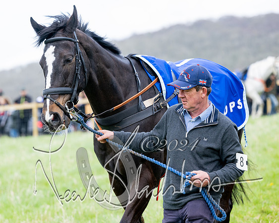 Race 4 - Savills Mixed Open  (34 of 169)