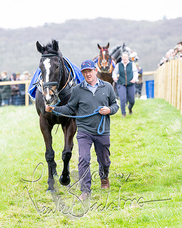 Race 4 - Savills Mixed Open  (33 of 169)