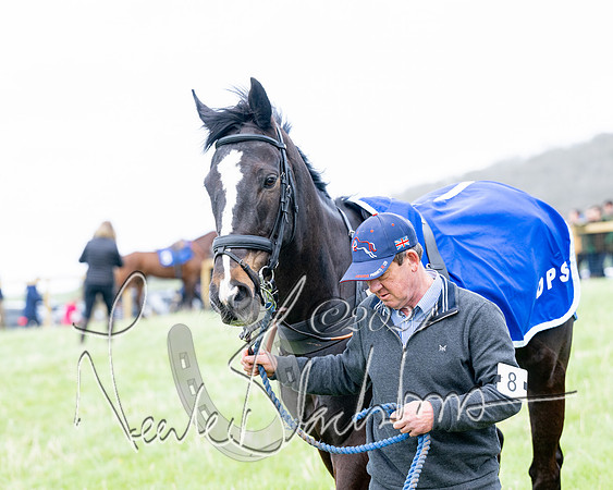 Race 4 - Savills Mixed Open  (36 of 169)