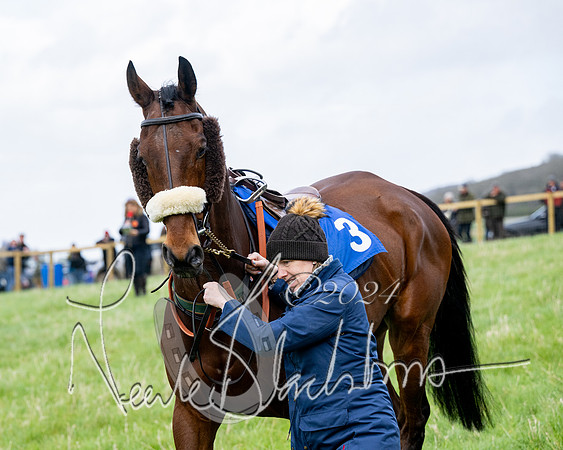Race 4 - Savills Mixed Open  (44 of 169)