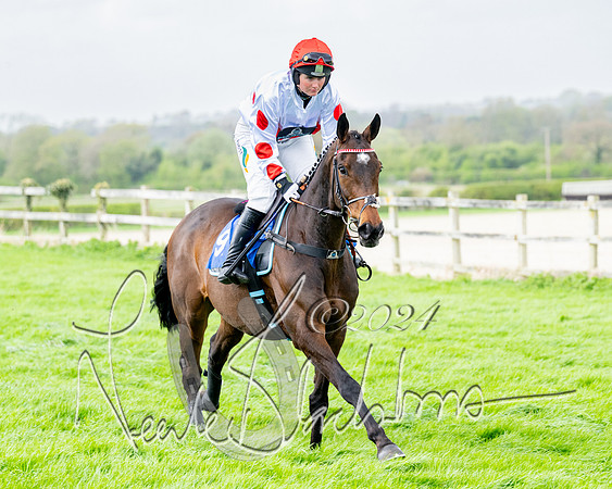 Race 4 - Savills Mixed Open  (50 of 169)