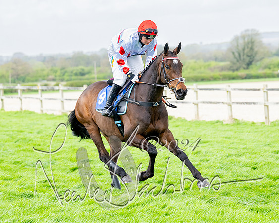 Race 4 - Savills Mixed Open  (51 of 169)