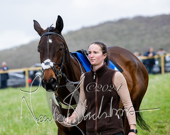 Race 5 - The Print Concern Restricted race  (16 of 136)