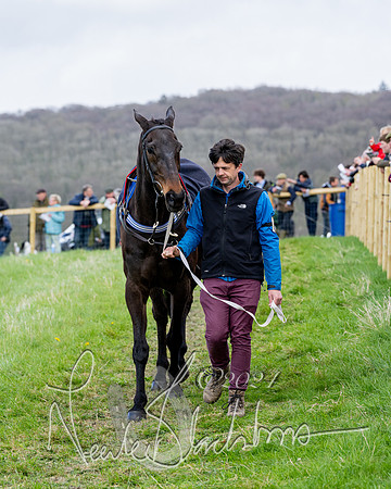 Race 5 - The Print Concern Restricted race  (32 of 136)