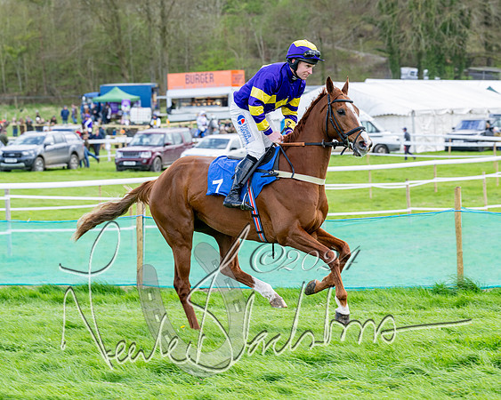 Race 5 - The Print Concern Restricted race  (39 of 136)
