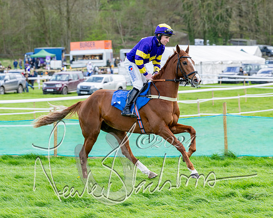 Race 5 - The Print Concern Restricted race  (40 of 136)