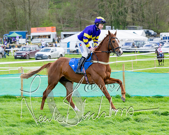 Race 5 - The Print Concern Restricted race  (41 of 136)