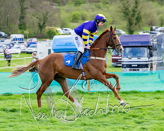 Race 5 - The Print Concern Restricted race  (42 of 136)