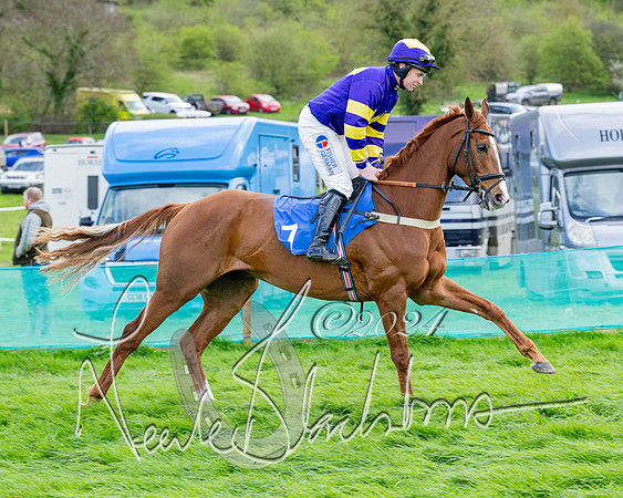 Race 5 - The Print Concern Restricted race  (43 of 136)