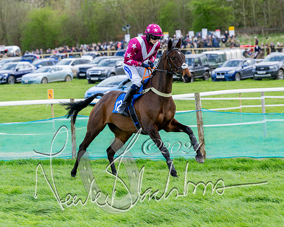 Race 5 - The Print Concern Restricted race  (45 of 136)