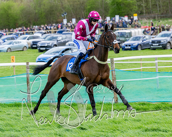 Race 5 - The Print Concern Restricted race  (46 of 136)
