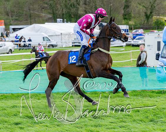 Race 5 - The Print Concern Restricted race  (47 of 136)