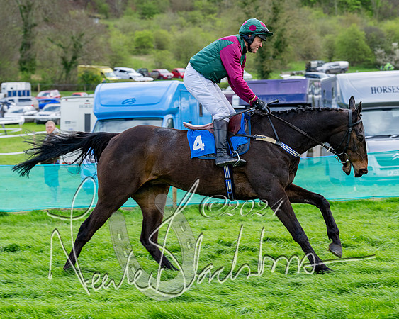 Race 5 - The Print Concern Restricted race  (51 of 136)
