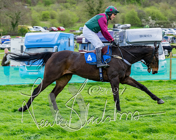 Race 5 - The Print Concern Restricted race  (52 of 136)