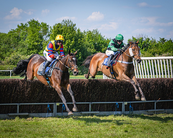 Race 3 The College and County Ladies Open Race (65 of 122)
