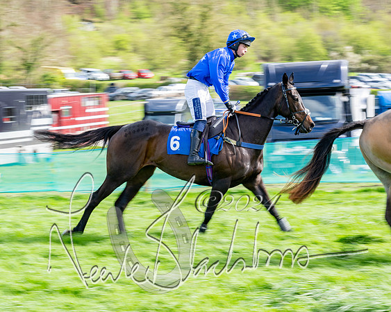 Race 6 - Novice riders (14 of 105)