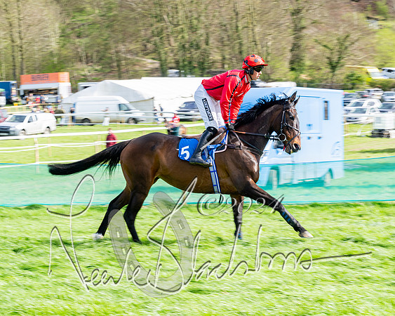 Race 6 - Novice riders (24 of 105)