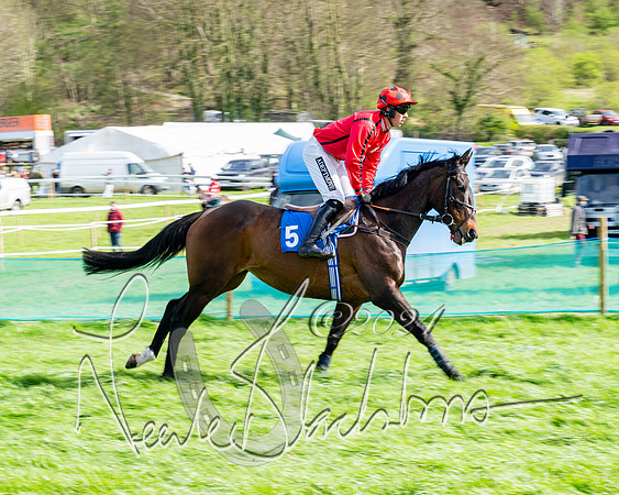 Race 6 - Novice riders (25 of 105)