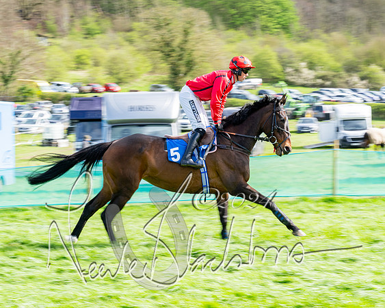 Race 6 - Novice riders (28 of 105)
