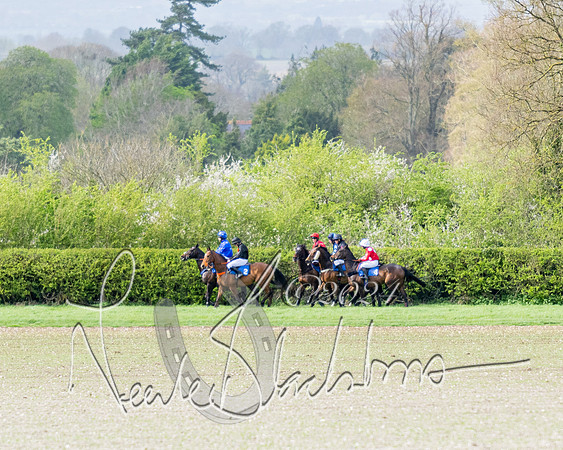 Race 6 - Novice riders (41 of 105)