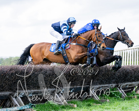 Race 6 - Novice riders (51 of 105)