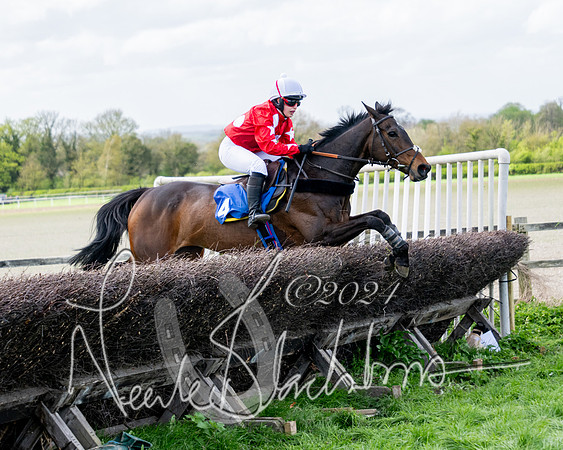 Race 6 - Novice riders (80 of 105)