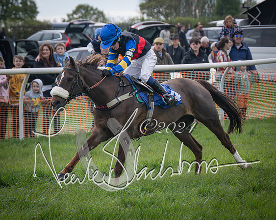 Pony Race 1 (37 of 61)-
