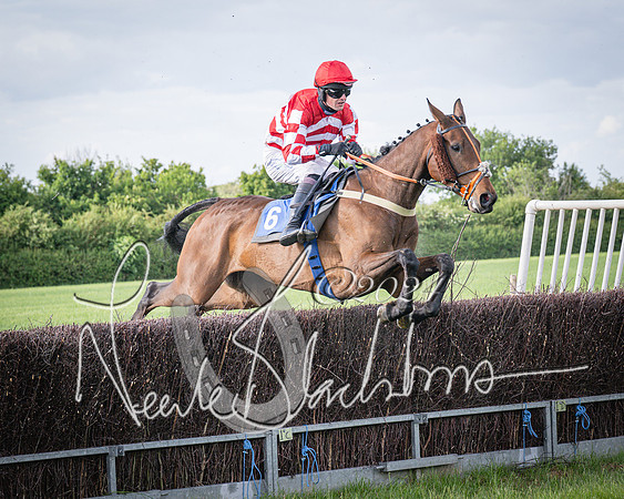 Race 6 - Thorn Plant Hire Maiden Race (76 of 129)