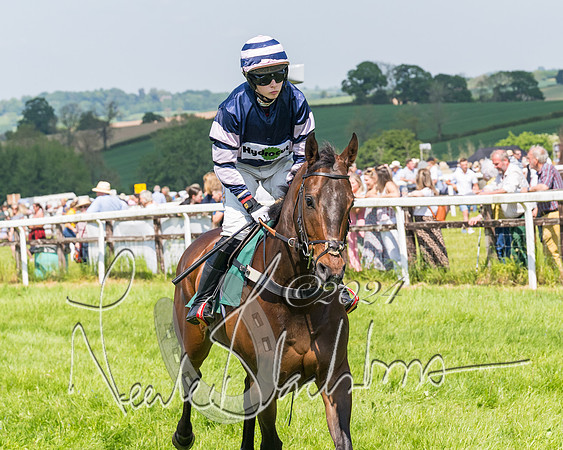 Race 2 - The Maiden  (126 of 442)