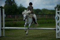 SOHS PC Summer Show at BCA 17th June 2012