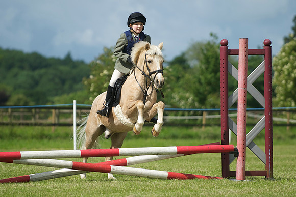 SOHS PC Summer Show at BCA 17th June 2012