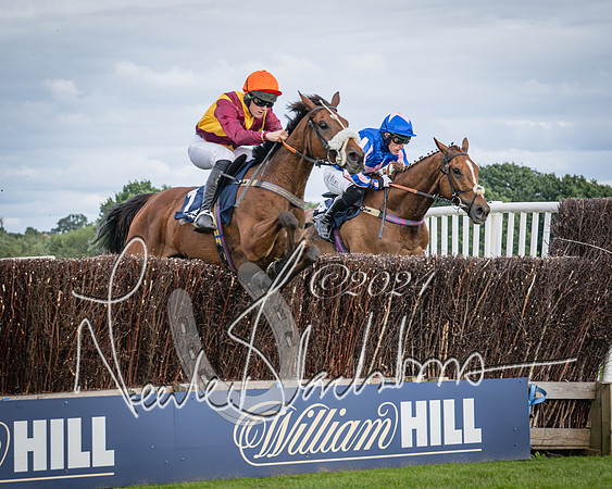 Race 1 - Pointing Pointers Restricted Final (44 of 79)