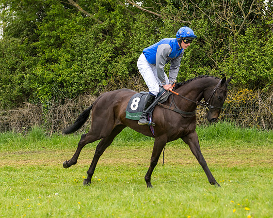 Race 7 - Open Maiden  (22 of 106)