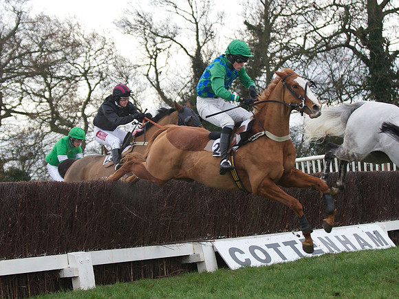 CHHC - Novice Riders
