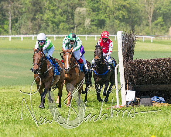 Pony Races  (63 of 141)