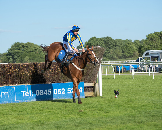 Race 1 - PPSA Open Hunter chase (52 of 78)
