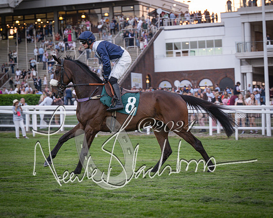 Race - 7 The Royal Gloucester Hussars Open Hunter's steeplechase 2m4f 127y (40 of 210)