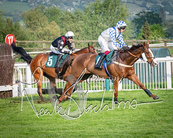 Race 4 - The Jonathan Neesom memorial open Hunter’s steeplechase 3m2f 70y (53 of 167)