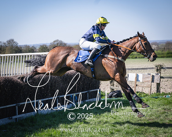 Race 5 - The restricted (86 of 113)