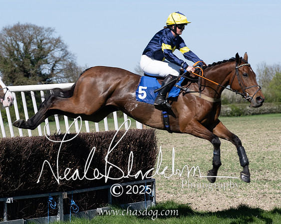 Race 5 - The restricted (50 of 113)